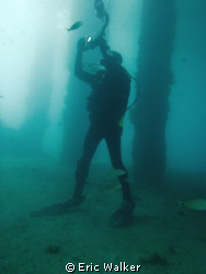 My Dive Buddy!!! by Eric Walker 
